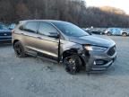 2024 Ford Edge ST