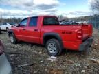 2005 Dodge Dakota Quad SLT