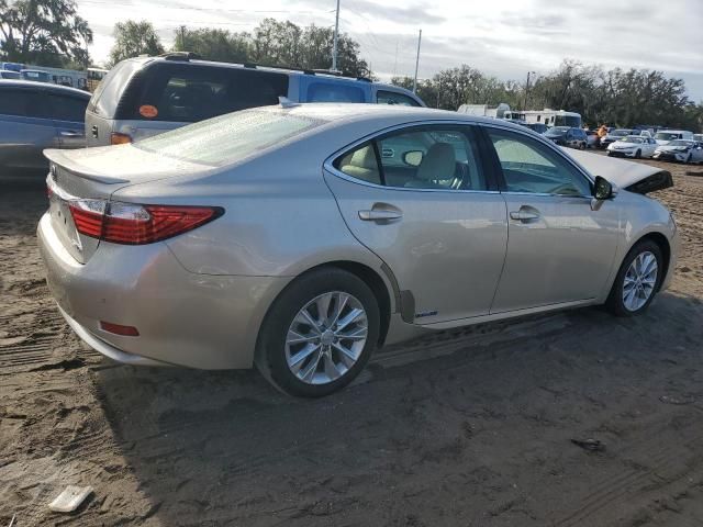 2014 Lexus ES 300H