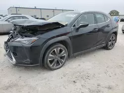 2019 Lexus UX 250H en venta en Haslet, TX