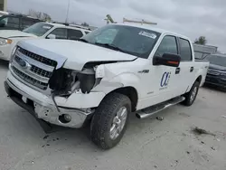 Ford salvage cars for sale: 2013 Ford F150 Supercrew