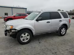 Salvage SUVs for sale at auction: 2012 Ford Escape XLS