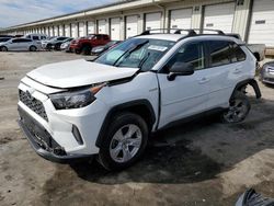 Salvage cars for sale from Copart Louisville, KY: 2019 Toyota Rav4 LE