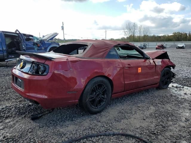 2014 Ford Mustang