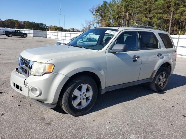 2009 Ford Escape XLT