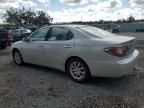 2004 Lexus ES 330