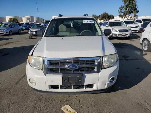 2011 Ford Escape XLT