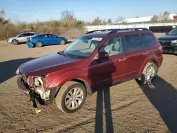 Salvage cars for sale at Columbia Station, OH auction: 2013 Subaru Forester Limited