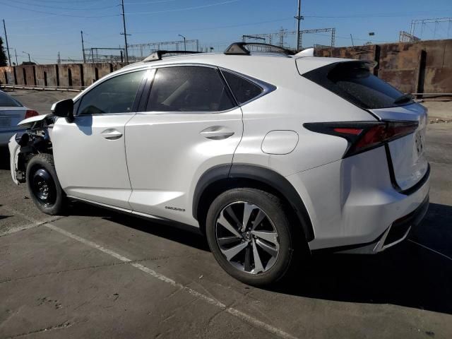 2019 Lexus NX 300H