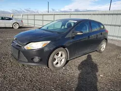 Ford salvage cars for sale: 2014 Ford Focus SE