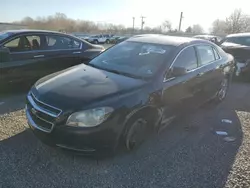 Chevrolet salvage cars for sale: 2010 Chevrolet Malibu 1LT