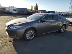 Salvage cars for sale at Hayward, CA auction: 2014 Lexus ES 350