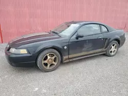 Salvage cars for sale at London, ON auction: 2004 Ford Mustang