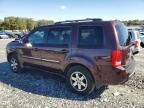 2010 Honda Pilot Touring