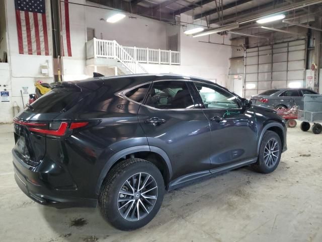 2023 Lexus NX 350