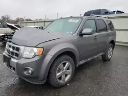 Vehiculos salvage en venta de Copart Pennsburg, PA: 2012 Ford Escape Limited