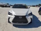 2024 Lexus NX 250 Premium