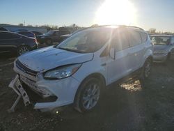 Ford Vehiculos salvage en venta: 2015 Ford Escape Titanium