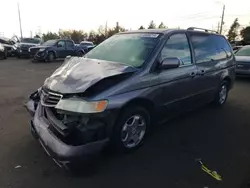 Salvage cars for sale at Denver, CO auction: 2000 Honda Odyssey EX