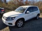 2013 Volkswagen Tiguan S