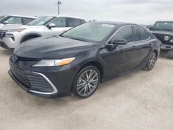 2024 Toyota Camry XLE en venta en Arcadia, FL