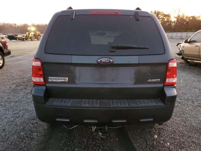 2009 Ford Escape XLT