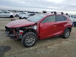 Salvage cars for sale at Antelope, CA auction: 2020 Lexus NX 300