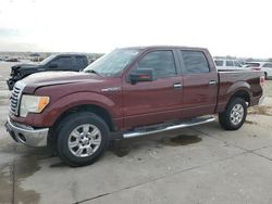 Ford f150 Supercrew salvage cars for sale: 2010 Ford F150 Supercrew