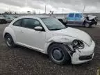 2013 Volkswagen Beetle