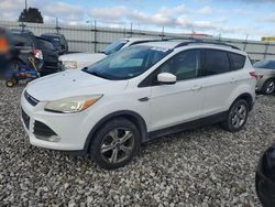 Ford salvage cars for sale: 2014 Ford Escape SE