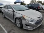 2013 Hyundai Sonata Hybrid