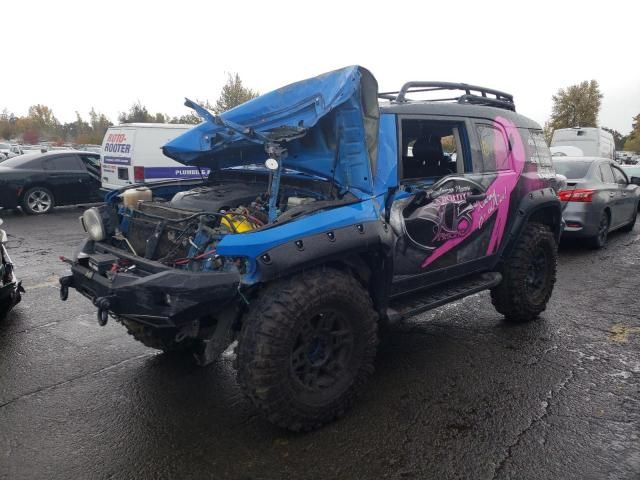 2007 Toyota FJ Cruiser