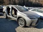 2023 Lexus NX 350H