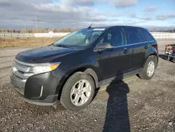 Salvage cars for sale at Ottawa, ON auction: 2013 Ford Edge Limited