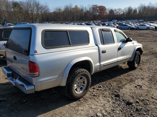 2001 Dodge Dakota Quattro