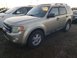 Ford Escape Vehiculos salvage en venta: 2010 Ford Escape XLT