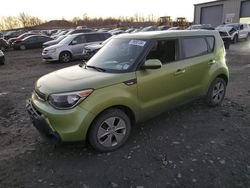 Salvage cars for sale at Duryea, PA auction: 2014 KIA Soul