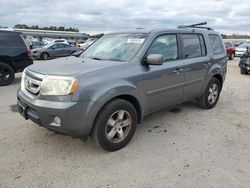 Honda Vehiculos salvage en venta: 2011 Honda Pilot EXL