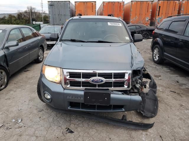 2011 Ford Escape XLT