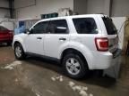 2011 Ford Escape XLS