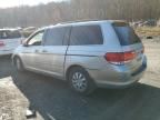 2008 Honda Odyssey EXL