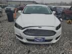 2016 Ford Fusion SE Hybrid