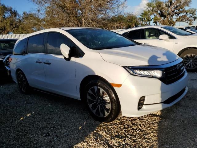 2024 Honda Odyssey EXL