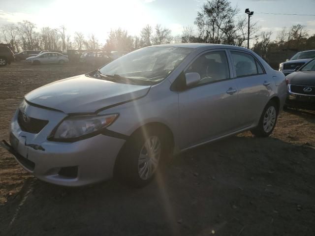 2010 Toyota Corolla Base