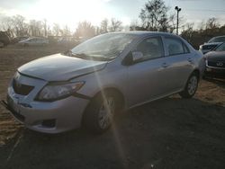 Salvage cars for sale at Baltimore, MD auction: 2010 Toyota Corolla Base