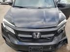 2020 Honda Pilot Elite