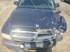 2004 Dodge Dakota SXT