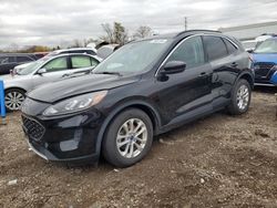 Ford Escape salvage cars for sale: 2020 Ford Escape SE