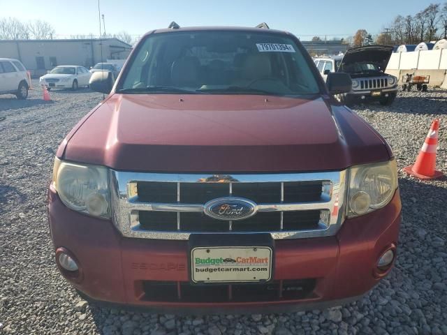 2009 Ford Escape XLT