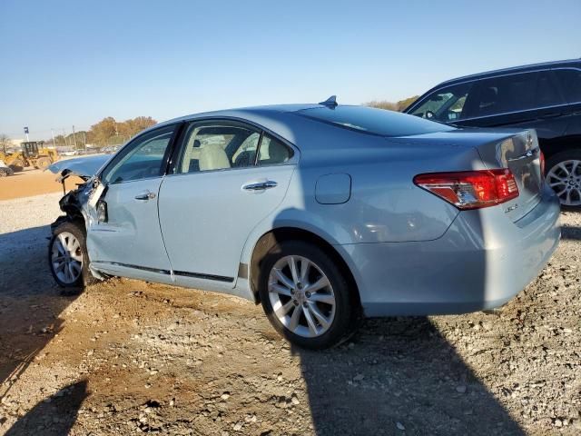 2010 Lexus ES 350